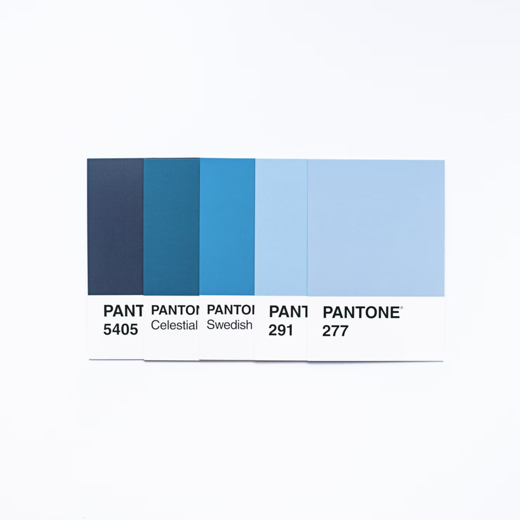 Minimalist Color Palettes in 2024